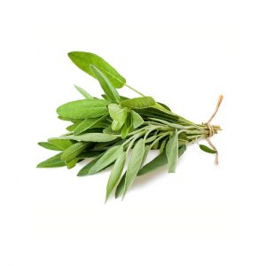 Mountain Sage Incense Sticks