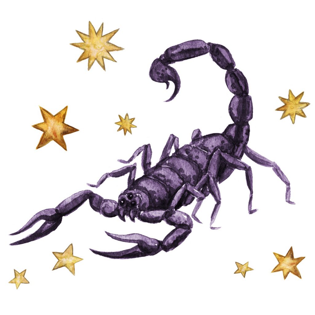 Scorpio Incense Sticks