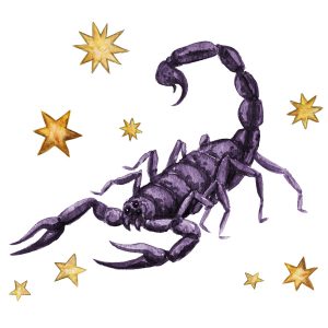 Scorpio Incense Sticks