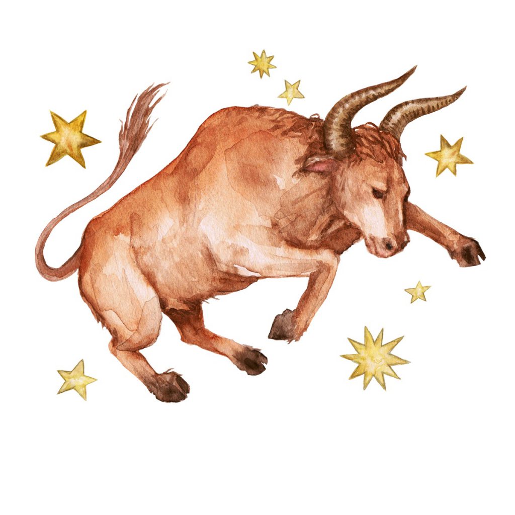 Taurus Incense Sticks