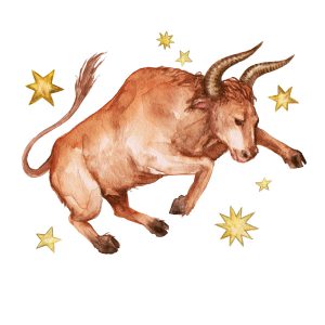 Taurus Incense Sticks