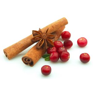 Cranberry & Cinnamon Potpourri Refresher Oil