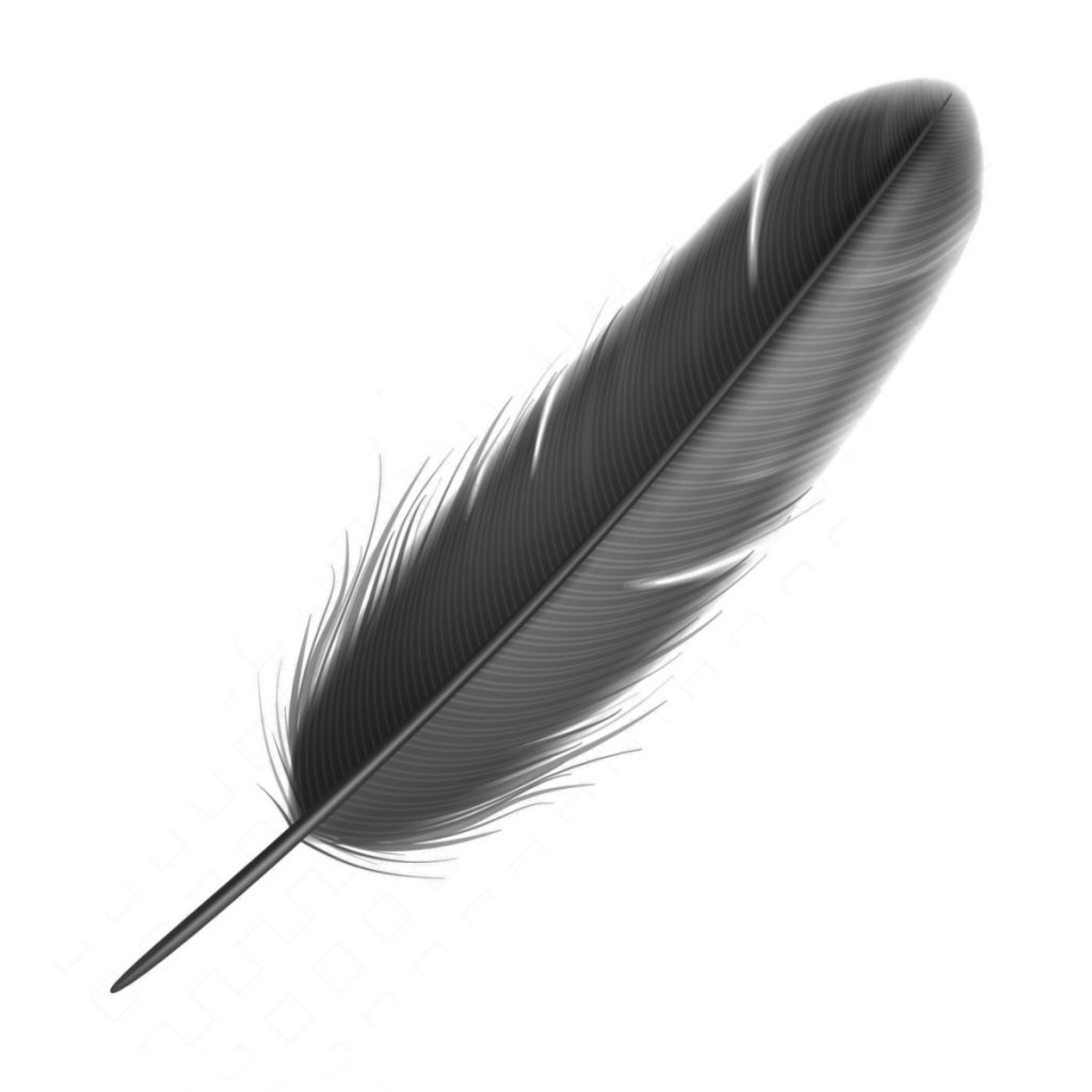 Feathered Pen, Black