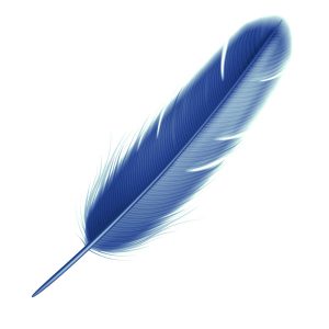 Feathered Pen, Blue