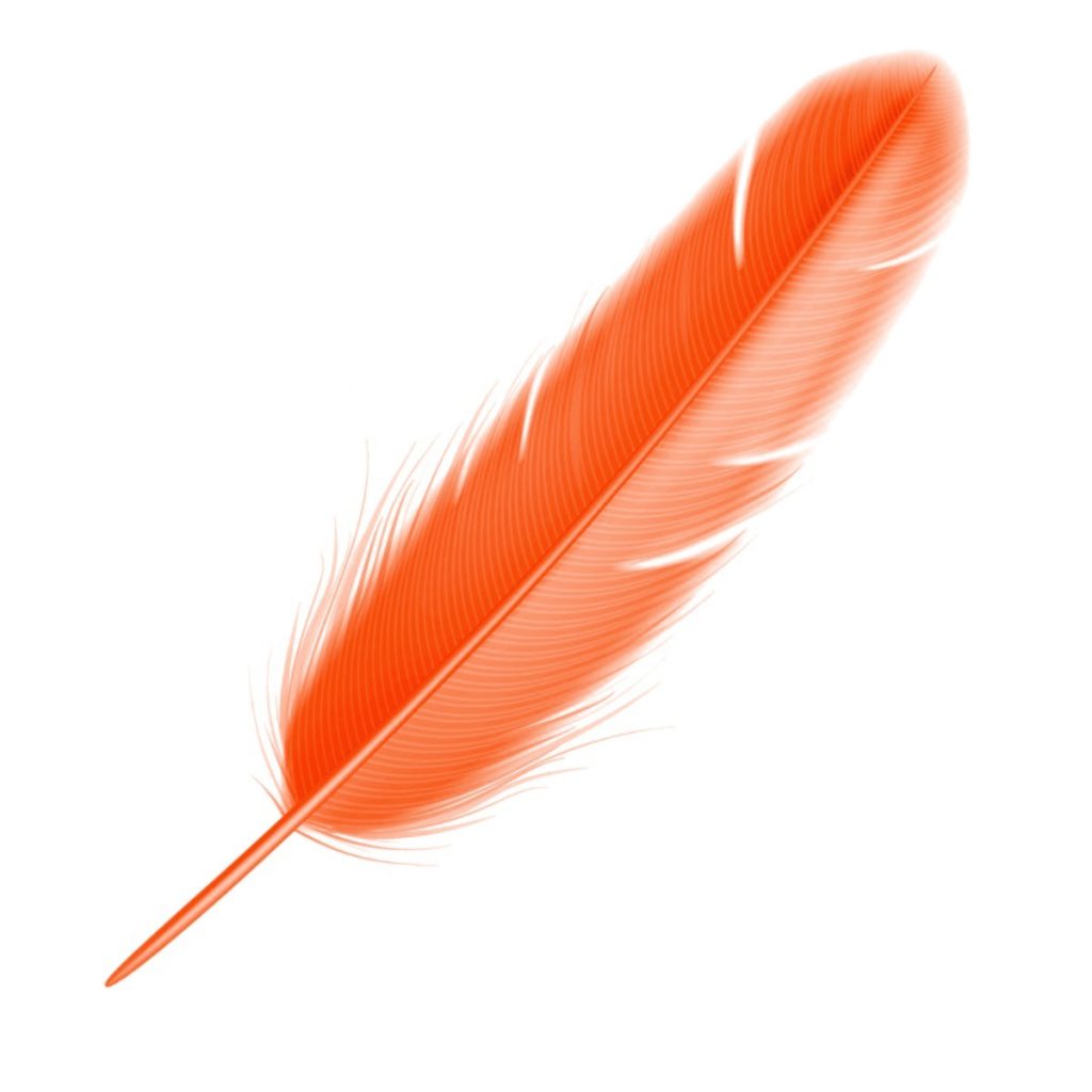 Feathered Pen, Orange