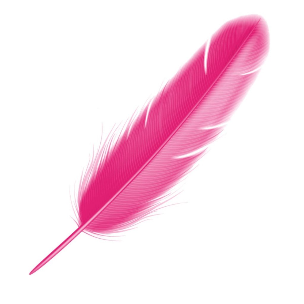 Feathered Pen, Pink