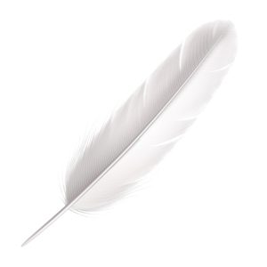 Feathered Pen, White