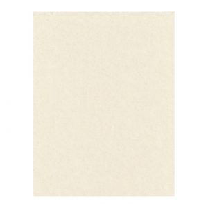 Parchment Paper, 8.5in x 11in, 5 Sheets