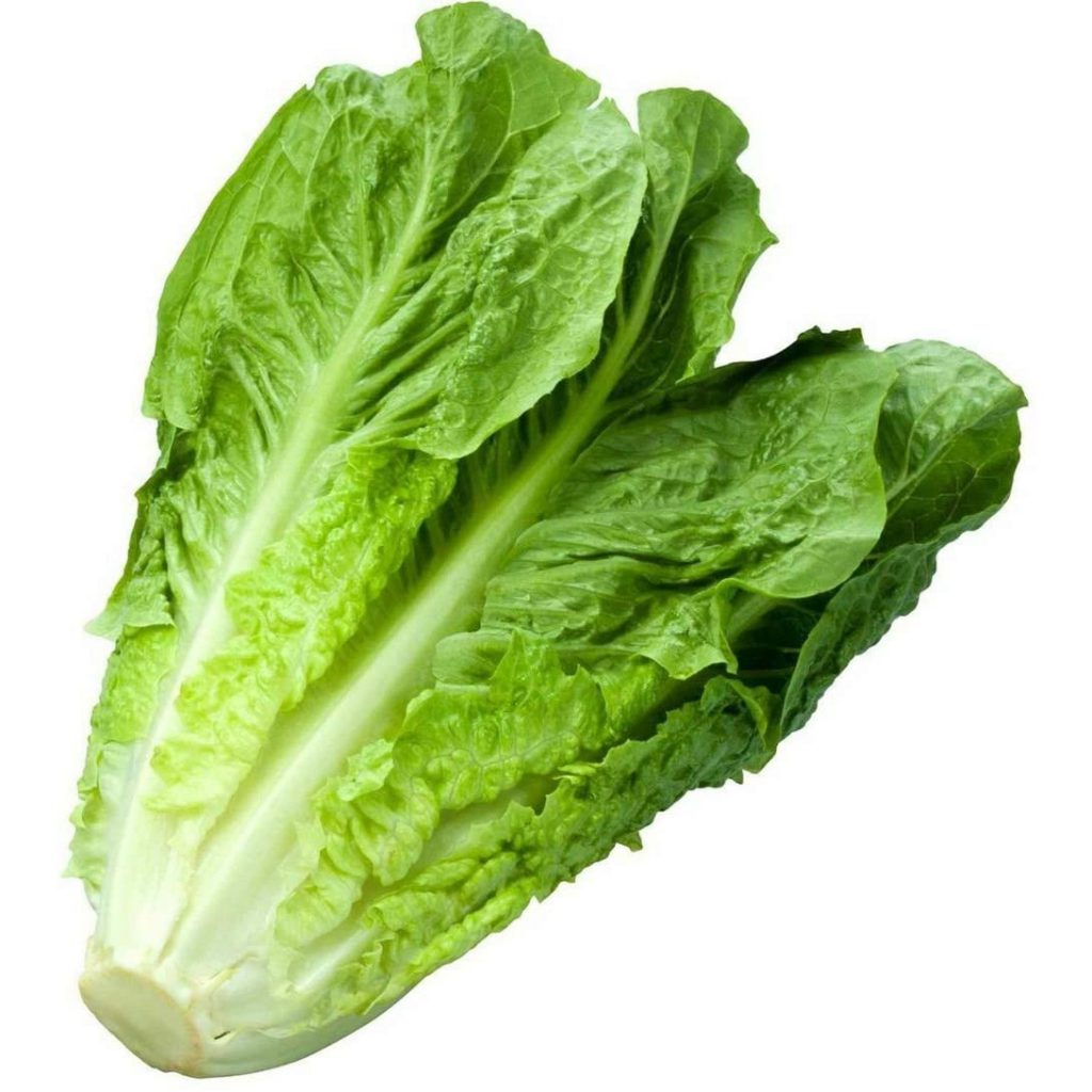 Lettuce, Romaine Seeds