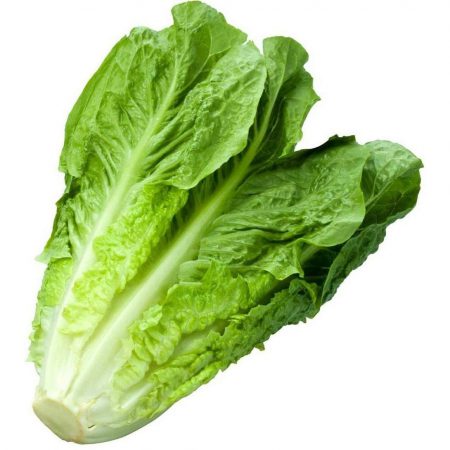 Lettuce, Romaine Seeds