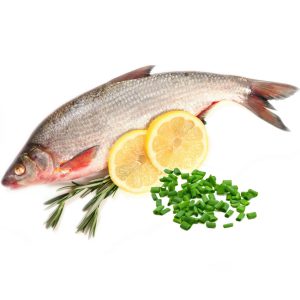 Fish Herbs #2 (with Tarragon & Chive