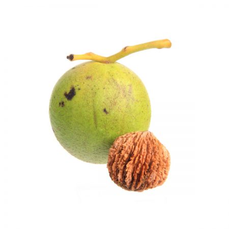 Walnut (Black) Food Extract