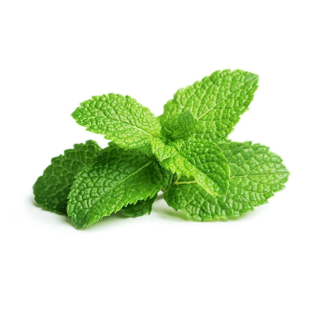 Peppermint Food Extract