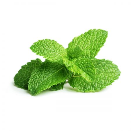 Peppermint Food Extract