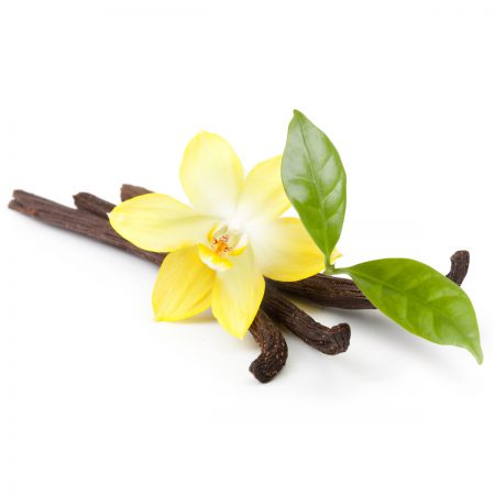 Vanilla (Dark) Food Extract