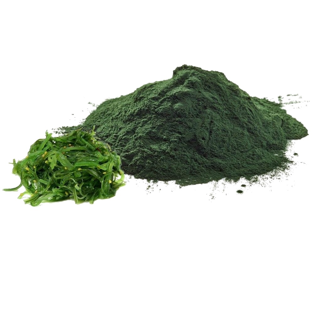 Chlorella, Powder