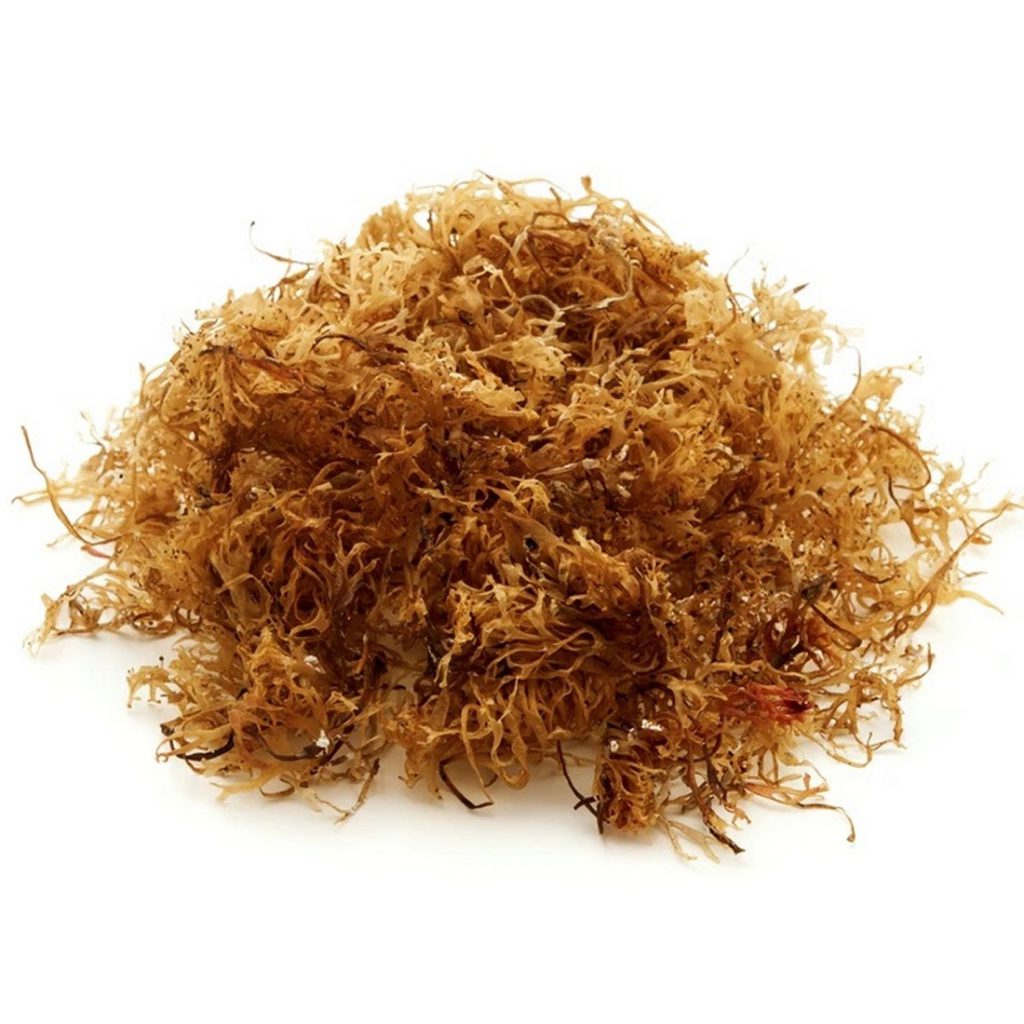 Irish Moss, Cut