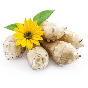 Jerusalem Artichoke Powder