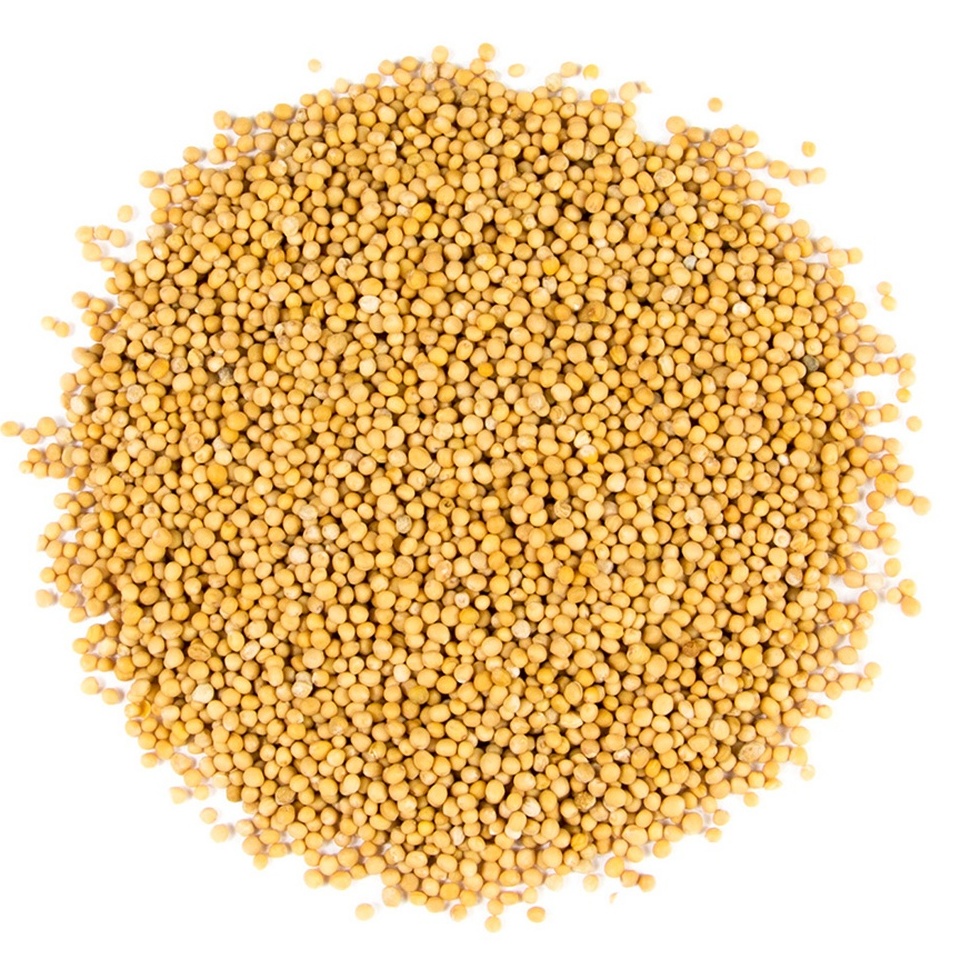 Mustard Seeds, Yellow, Whole Organic