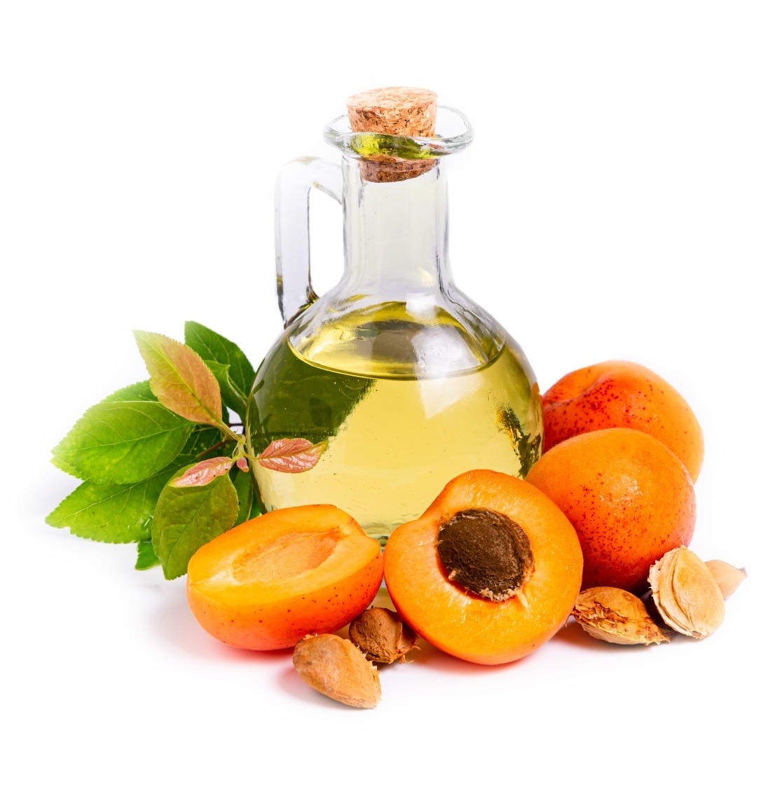 Apricot Oil