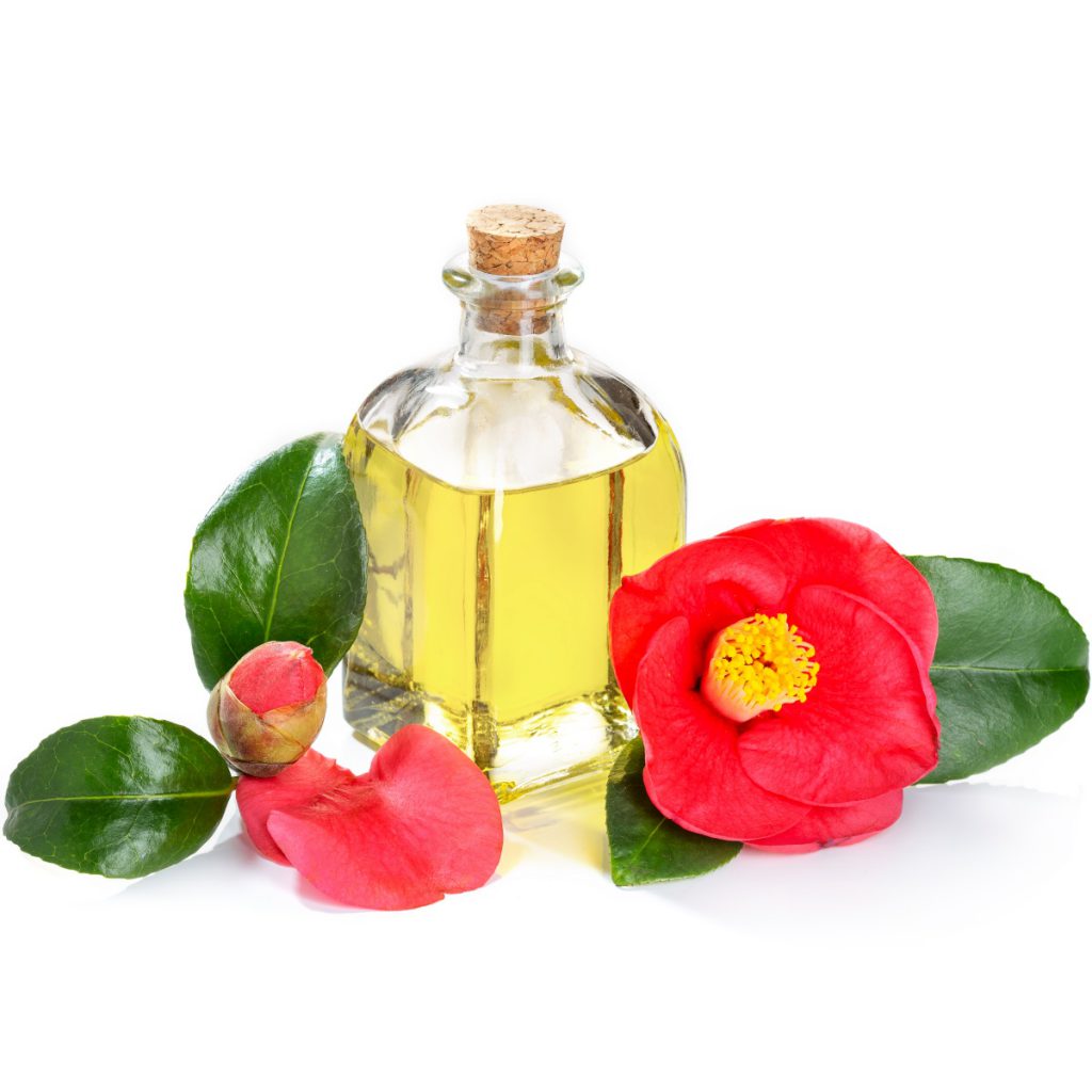 Camellia Oil, Cosmetic Grade, 4 oz