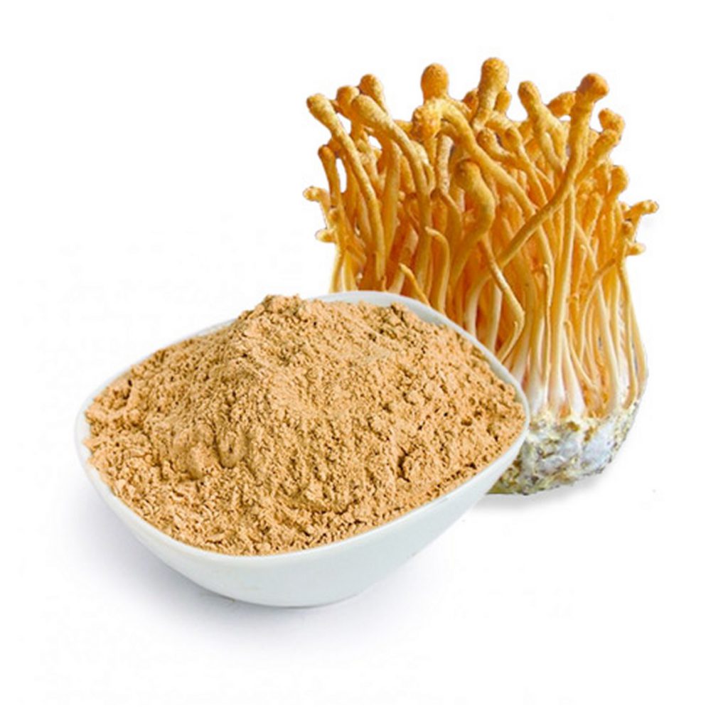 Mushrooms, Cordyceps, Powder