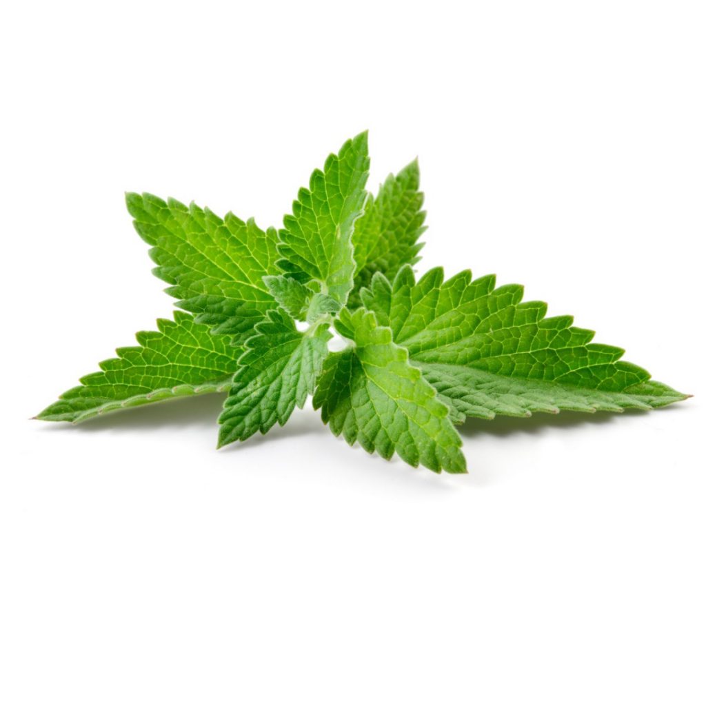 Spearmint Black Tea