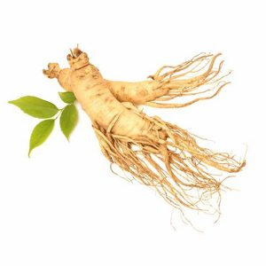 Ginseng