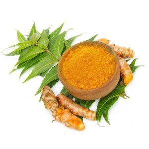 Ayurvedic Herbs