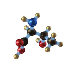 Amino Acids