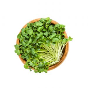 Seeds for Sprouting, Organic
