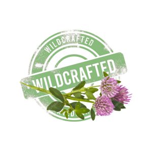 Wildcrafted & Organic Herbs